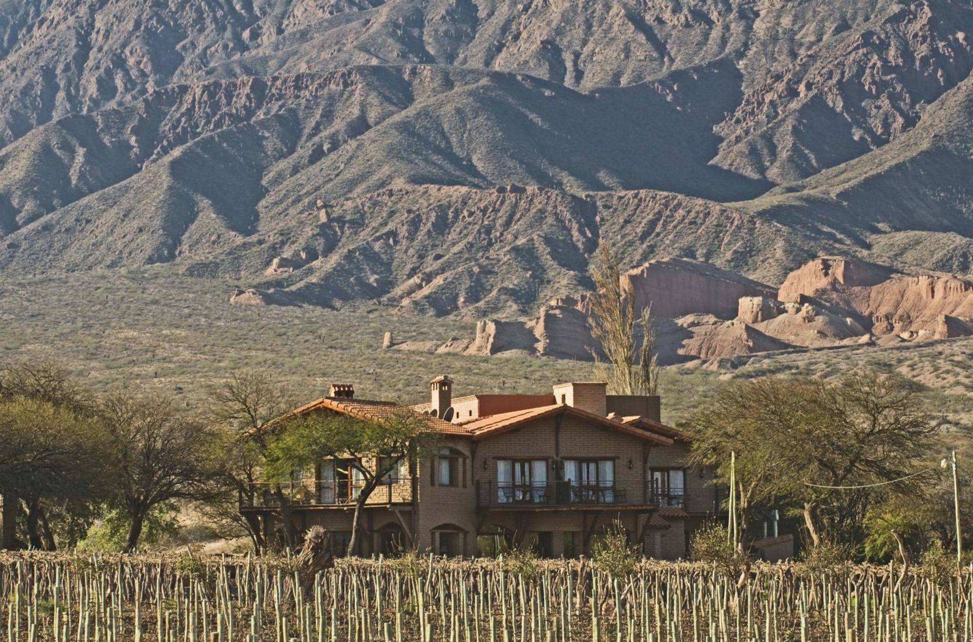 La Casa De La Bodega - Wine Boutique Hotel Cafayate Buitenkant foto