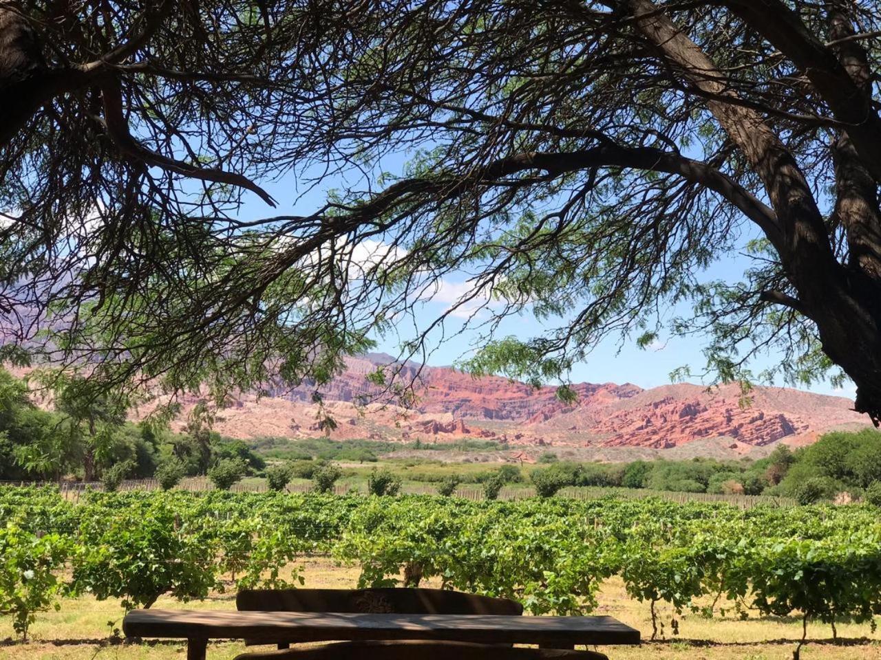 La Casa De La Bodega - Wine Boutique Hotel Cafayate Buitenkant foto